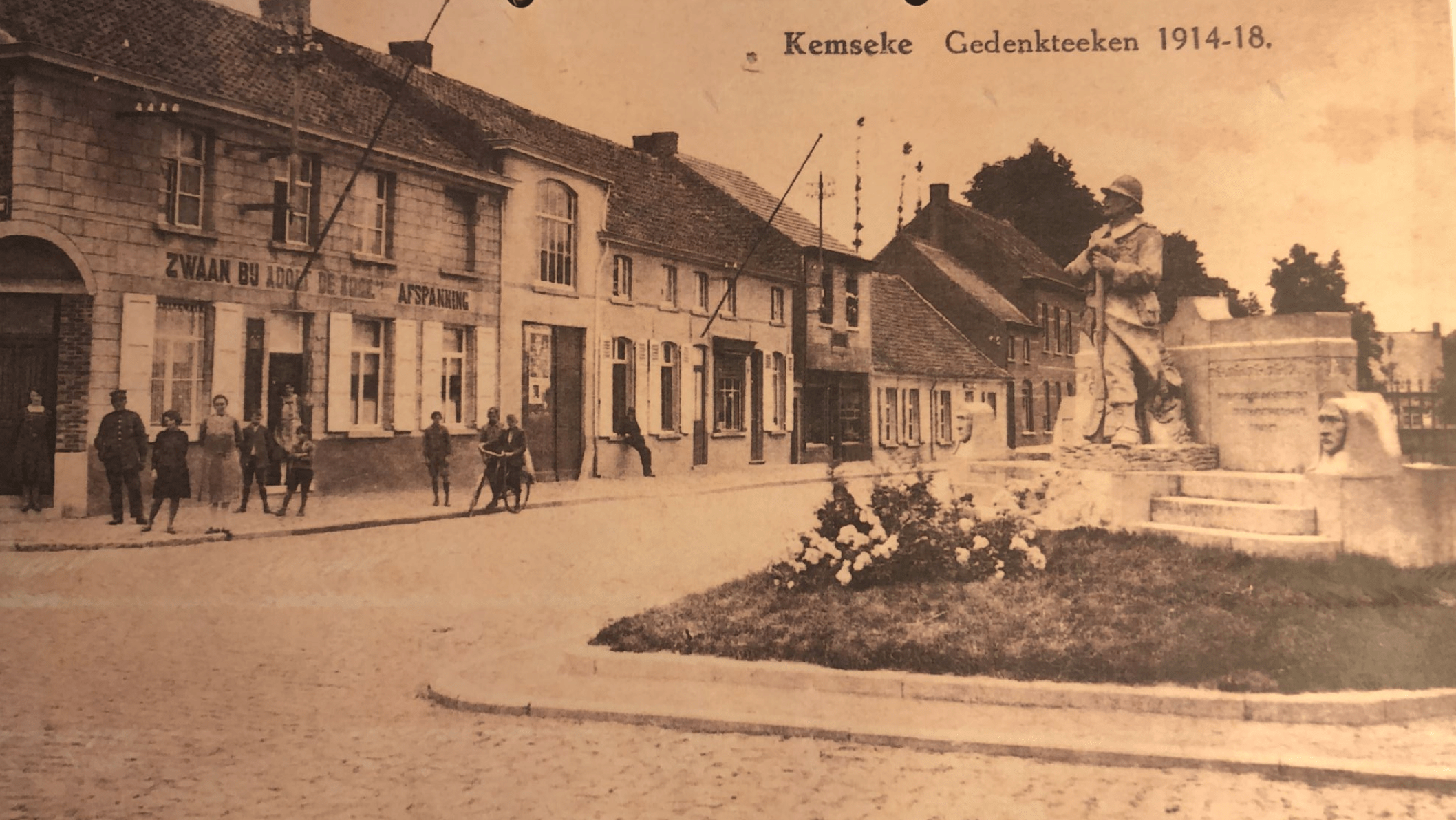 Foto oude zwaan min